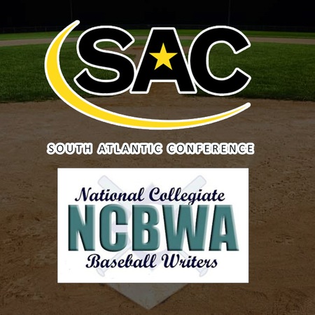 The South Atlantic Conference Earns 16 Bids to the 2017 NCBWA All-Southeast Region Teams