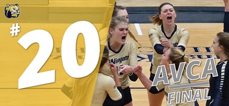 Wingate Rises in Final Division II AVCA Coaches Poll